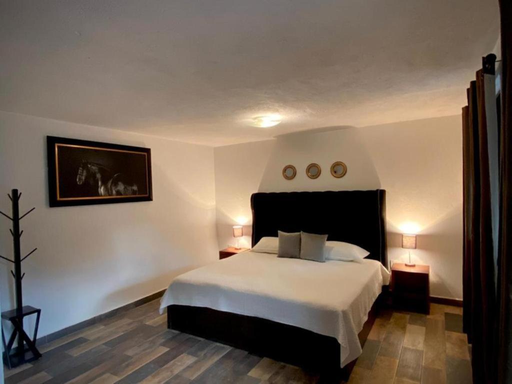 Cabanas, Suites Y Habitaciones Rancho San Jorge Берналь Экстерьер фото