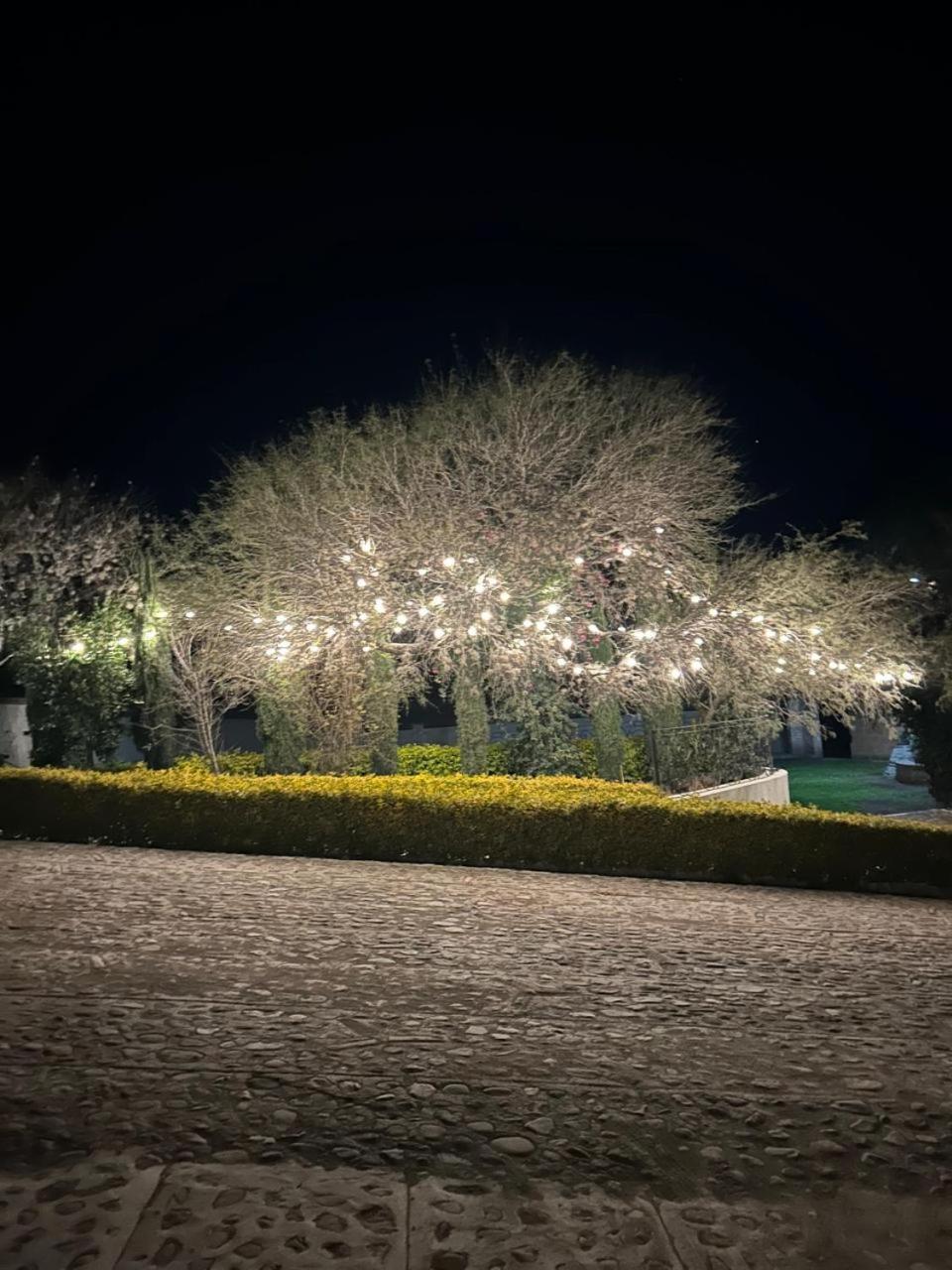 Cabanas, Suites Y Habitaciones Rancho San Jorge Берналь Экстерьер фото